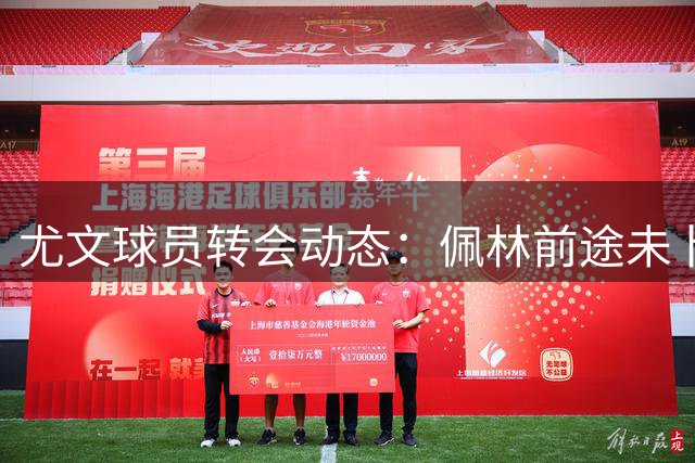 尤文球员转会动态：佩林前途未卜，戴维坚守斑马军团