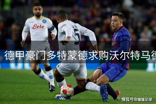 德甲豪门多特蒙德求购沃尔特马德？纽卡官方回应传闻不实