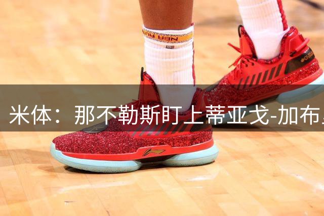 米体：那不勒斯盯上蒂亚戈-加布里埃尔，要求至少2000万欧